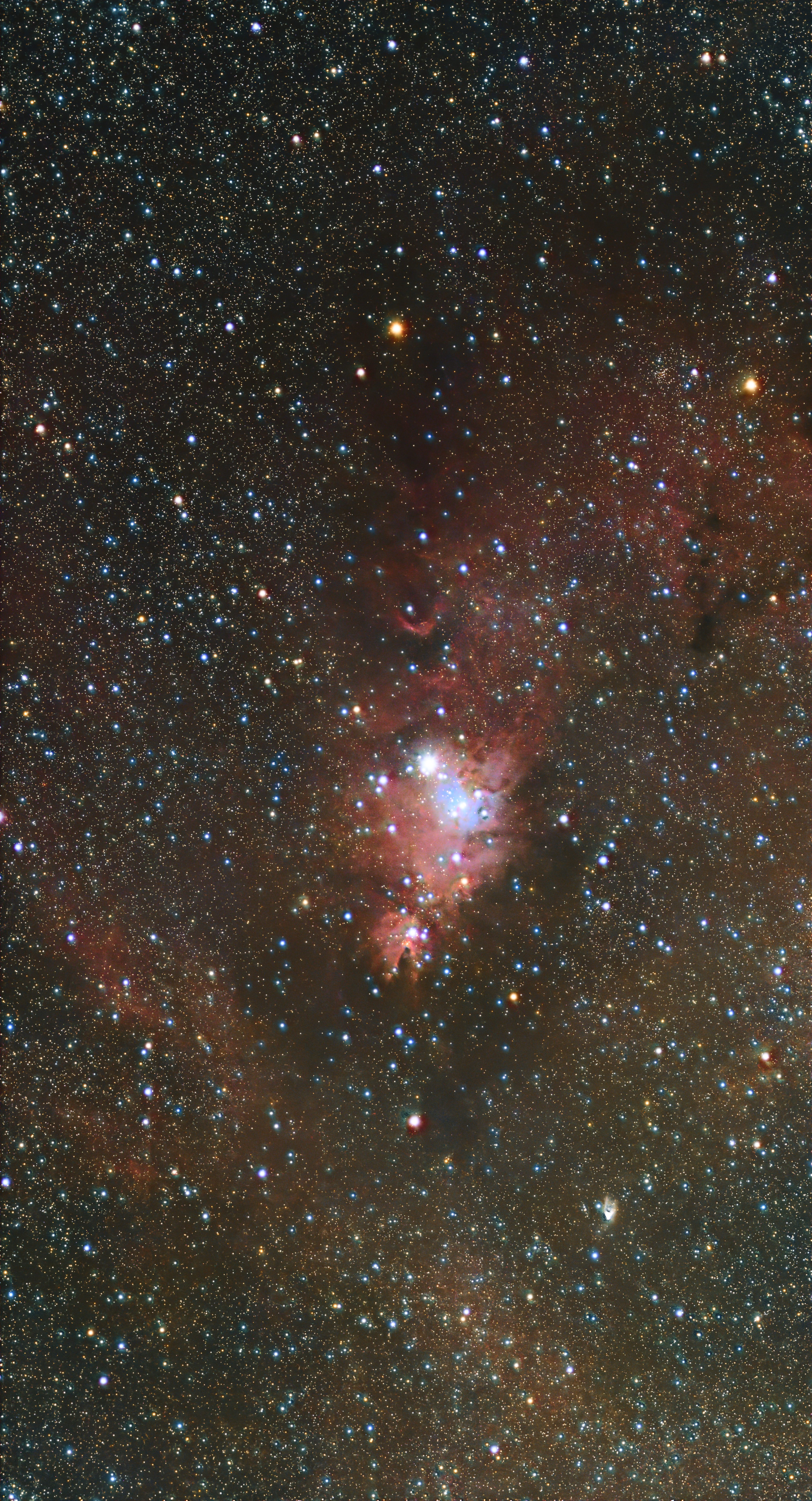 NGC 2264 (Christmas Tree Cluster)